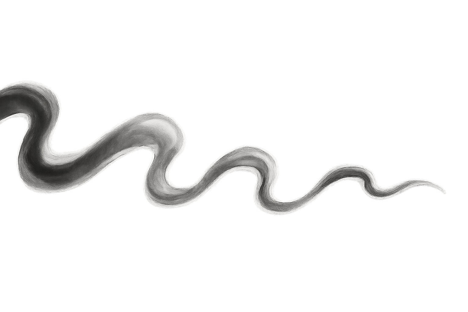 Roadmap Divider